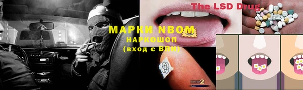 твердый Заводоуковск