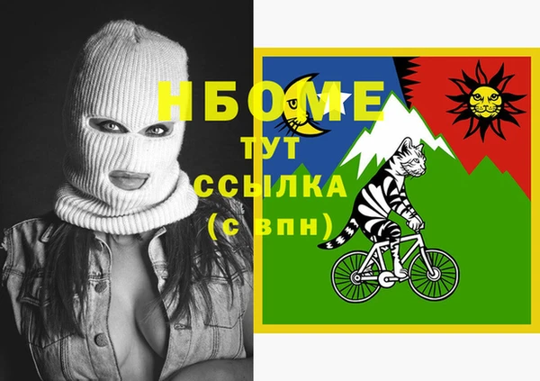твердый Заводоуковск