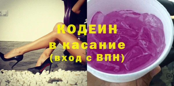 твердый Заводоуковск
