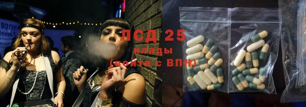 PSILOCYBIN Зеленодольск